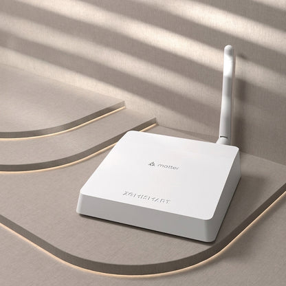 Matter Zigbee Smart Home Gateway.