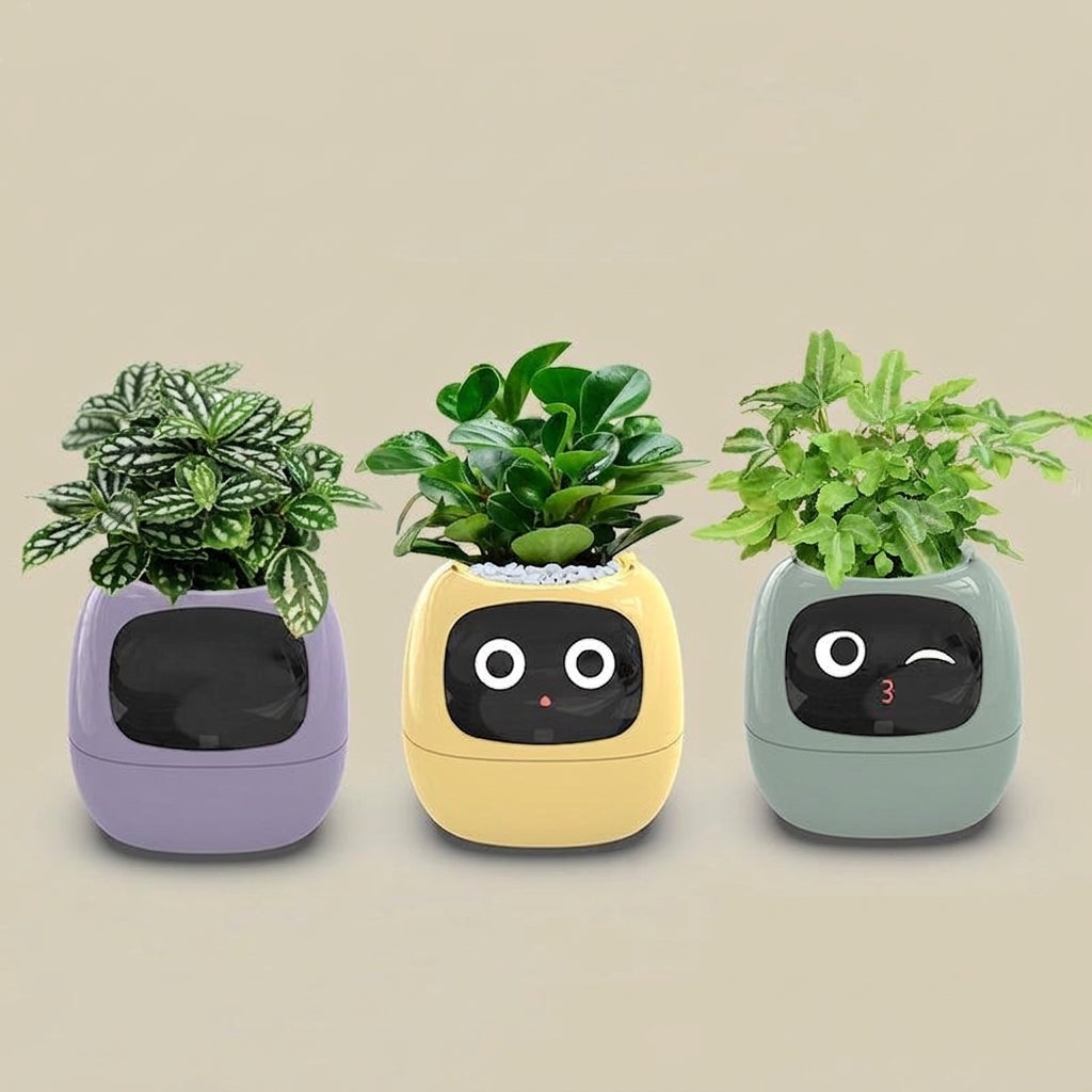 Smart Self-Watering Plant Pot.