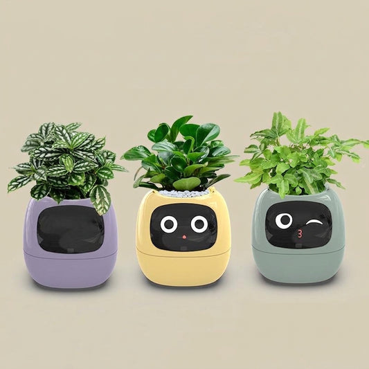 Smart Self-Watering Plant Pot.