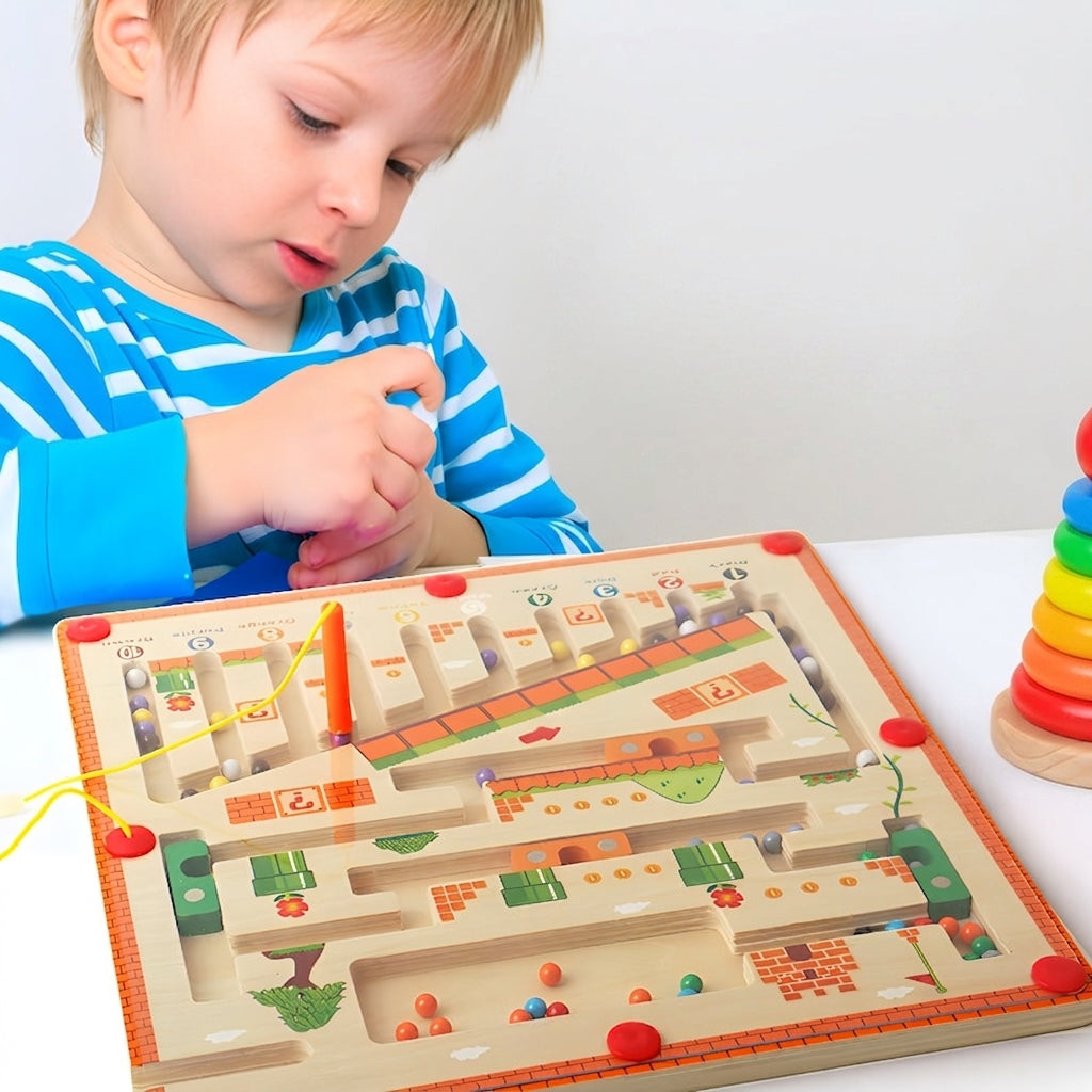 Mushroom House Maze Ball Toy.