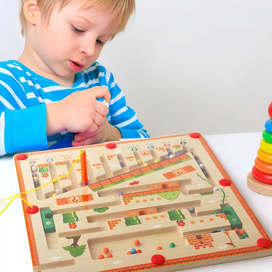 Mushroom House Maze Ball Toy.
