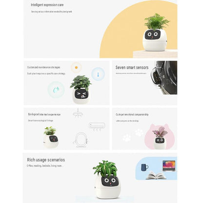 Smart Self-Watering Plant Pot.