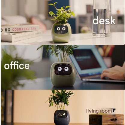 Smart Self-Watering Plant Pot.