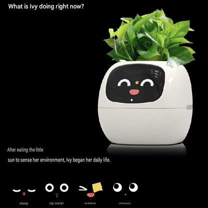 Smart Self-Watering Plant Pot.